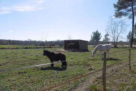 Villa i Langon, Gironde, Langon - € 189.000 | Ref: 399728PTP - foto 10