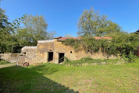 Farm hus i Chiny, Saone-et-Loire, Chiny - € 294.000 | Ref: 421032SNV - foto 2