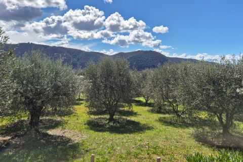 Helårsgrund i Oraison, Alpes-de-Haute-Provence, Oraison - € 175.000 | Ref: 397954TPH2307TPH - foto 1
