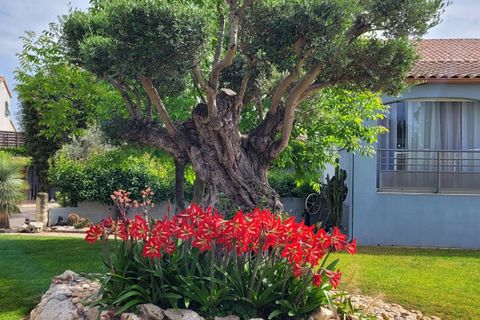 Villa a Frontignan, Herault, Frontignan - € 746.000 | Ref: 390820SEP - foto 5