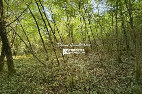 Villa a Bayas, Gironde, Bayas - € 350.000 | Ref: 411147KARG - foto 4