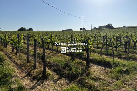 Villa a Bayas, Gironde, Bayas - € 350.000 | Ref: 411147KARG - foto 6