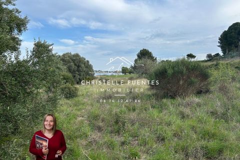 Terra a Bouzigues, Herault, Bouzigues - € 19.990 | Ref: 400414CFU - foto 3