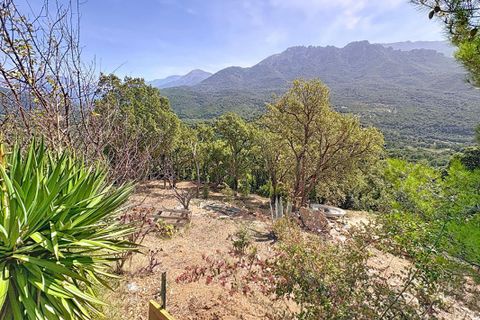 Tomt i Tavaco, Corse-du-Sud, Tavaco - € 160 000 | Ref: 421473CELR - foto 2