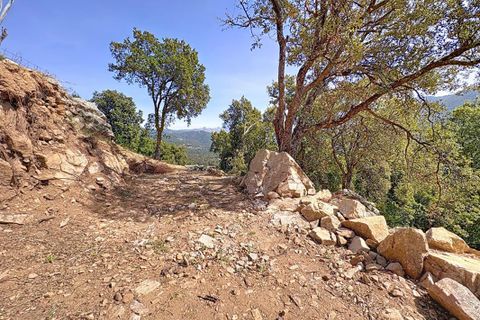 Tomt i Tavaco, Corse-du-Sud, Tavaco - € 160 000 | Ref: 421473CELR - foto 3