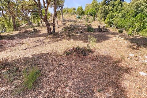 Tomt i Tavaco, Corse-du-Sud, Tavaco - € 160 000 | Ref: 421473CELR - foto 6