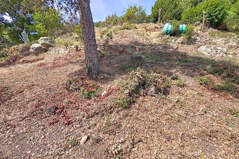 Tomt i Tavaco, Corse-du-Sud, Tavaco - € 160 000 | Ref: 421473CELR - foto 7