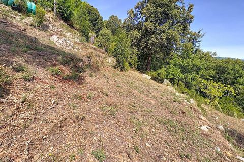 Tomt i Tavaco, Corse-du-Sud, Tavaco - € 160 000 | Ref: 421473CELR - foto 8