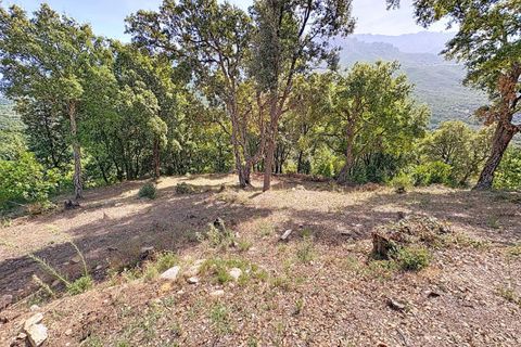 Tomt i Tavaco, Corse-du-Sud, Tavaco - € 160 000 | Ref: 421473CELR - foto 9