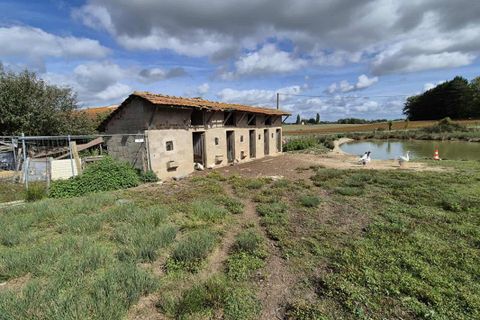 Villa i Simard, Saone-et-Loire, Simard - € 155.000 | Ref: 421576BAMA - foto 2