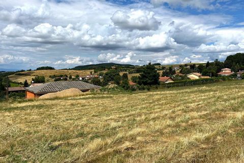 Terra a Violay, Loire, Violay - € 85.000 | Ref: 419448CLN - foto 3