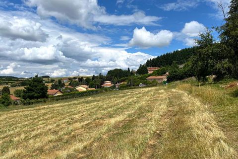 Terra a Violay, Loire, Violay - € 85.000 | Ref: 419448CLN - foto 7