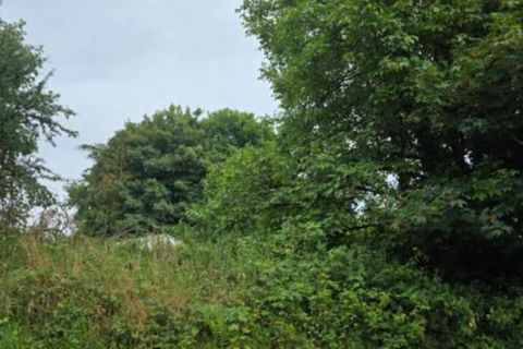 Villa i Brennilis, Finistere, Brennilis - € 79.000 | Ref: 416592BCP - foto 5