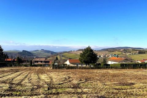 Terra a Violay, Loire, Violay - € 85.000 | Ref: 416444CLN - foto 2