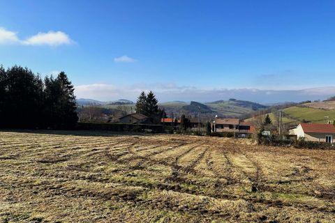Terra a Violay, Loire, Violay - € 85.000 | Ref: 416444CLN - foto 7