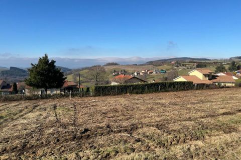 Terra a Violay, Loire, Violay - € 85.000 | Ref: 416444CLN - foto 9