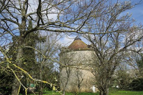 Villa i Fontenay-le-Comte, Vendee, Fontenay-le-Comte - € 1.655.000 | Ref: 410761MCM - foto 11