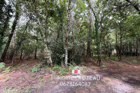 Tomt i Sanguinet, Landes, Sanguinet - € 38 990 | Ref: 410277ECR - foto 2