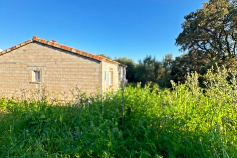 Villa i Alata, Corse-du-Sud, Alata - € 375.000 | Ref: 399761FSAS - foto 12