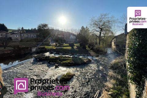 Erhvervsejendom i Amplepuis, Rhone, Amplepuis - € 260.000 | Ref: 397920B-DNAT - foto 5