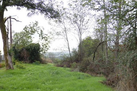 Helårsgrund i Ussac, Correze, Ussac - € 55.000 | Ref: 421109BIA - foto 3
