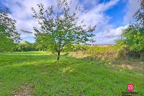 Villa i Saint-Fulgent-des-Ormes, Orne, Saint-Fulgent-des-Ormes - € 129.000 | Ref: 419520BROS - foto 11