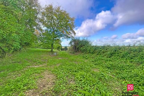 Villa i Saint-Fulgent-des-Ormes, Orne, Saint-Fulgent-des-Ormes - € 129.000 | Ref: 419520BROS - foto 12