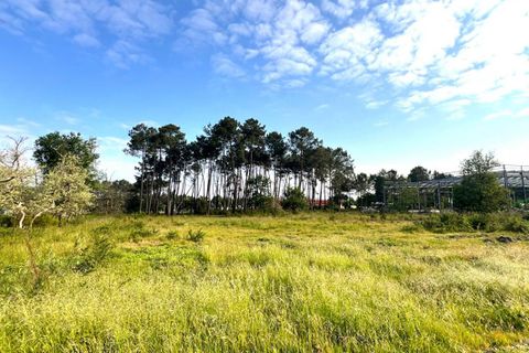 Villa i Audenge, Gironde, Audenge - € 1.248.000 | Ref: 404831AAU - foto 4