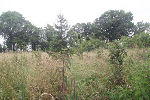 Villa a Joncreuil, Aube, Joncreuil - € 66.000 | Ref: 417155HCH - foto 9