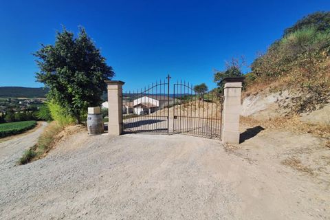 Villa i Limoux, Aude, Limoux - € 735.560 | Ref: 403921NME - foto 14