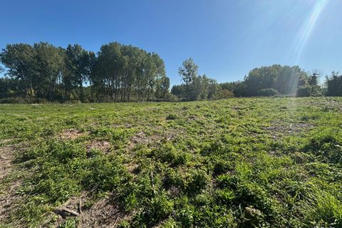 Terra a Ortillon, Aube, Ortillon - € 45.000 | Ref: 421900FMAL - foto 2