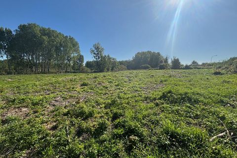 Terra a Ortillon, Aube, Ortillon - € 45.000 | Ref: 421900FMAL - foto 3