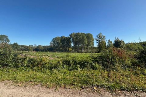 Terra a Ortillon, Aube, Ortillon - € 45.000 | Ref: 421900FMAL - foto 4