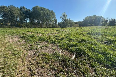 Terra a Ortillon, Aube, Ortillon - € 45.000 | Ref: 421900FMAL - foto 5