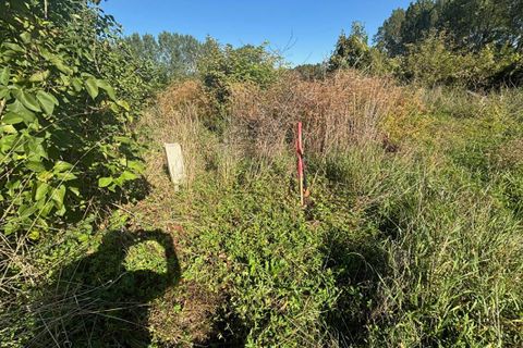 Terra a Ortillon, Aube, Ortillon - € 45.000 | Ref: 421900FMAL - foto 6