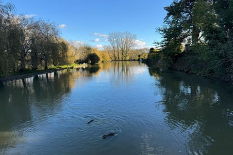 Villa i Saint-Emilion, Gironde, Saint-Emilion - € 3.650.000 | Ref: 418396WAND - foto 4