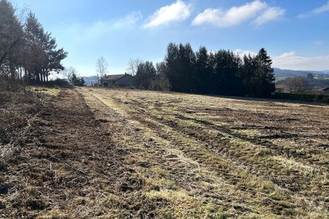 Terra a Violay, Loire, Violay - € 85.000 | Ref: 416446CLN - foto 6