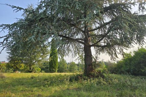 Terra a Auch, Gers, Auch - € 110.000 | Ref: B5J5-EVE-C8H - foto 2