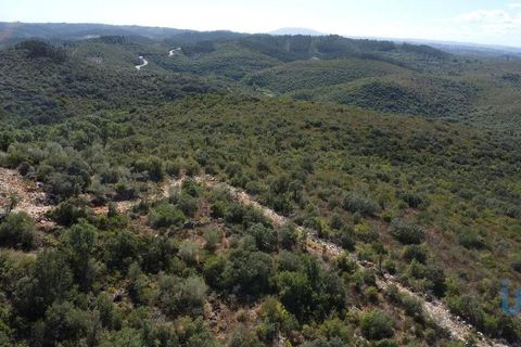 Terra a Ourem, Santarem, Ourem - € 11.500 | Ref: 149541 - foto 2