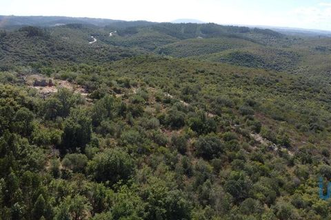 Terra a Ourem, Santarem, Ourem - € 11.500 | Ref: 149541 - foto 3