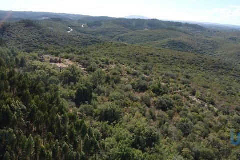 Terra a Ourem, Santarem, Ourem - € 11.500 | Ref: 149541 - foto 4