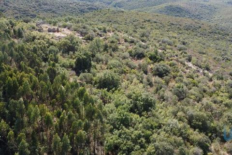 Terra a Ourem, Santarem, Ourem - € 11.500 | Ref: 149541 - foto 5