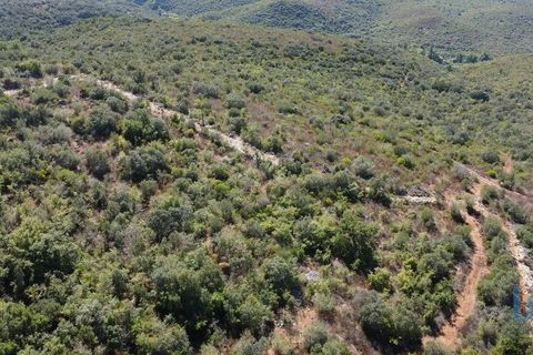Terra a Ourem, Santarem, Ourem - € 11.500 | Ref: 149541 - foto 6