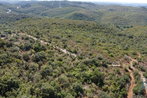 Terra a Ourem, Santarem, Ourem - € 11.500 | Ref: 149541 - foto 7