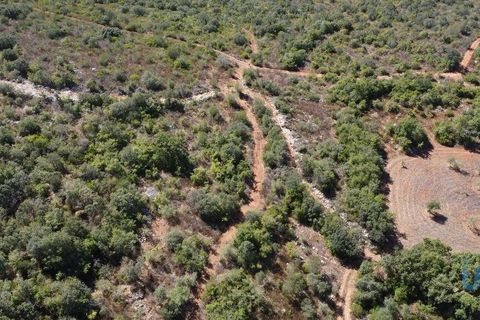 Terra a Ourem, Santarem, Ourem - € 11.500 | Ref: 149541 - foto 8