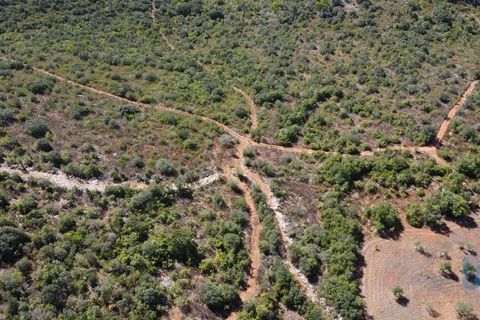 Terra a Ourem, Santarem, Ourem - € 11.500 | Ref: 149541 - foto 9