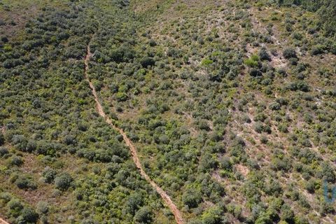 Terra a Ourem, Santarem, Ourem - € 11.500 | Ref: 149541 - foto 10
