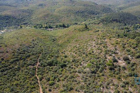 Terra a Ourem, Santarem, Ourem - € 11.500 | Ref: 149541 - foto 11