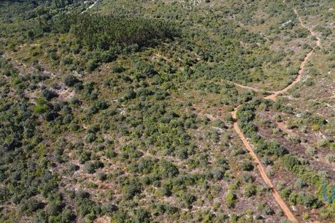 Terra a Ourem, Santarem, Ourem - € 11.500 | Ref: 149541 - foto 12