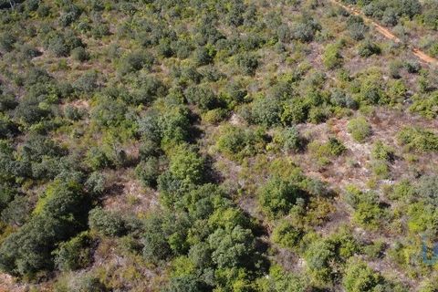 Terra a Ourem, Santarem, Ourem - € 11.500 | Ref: 149541 - foto 14